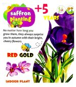 کیت پرورش زعفران