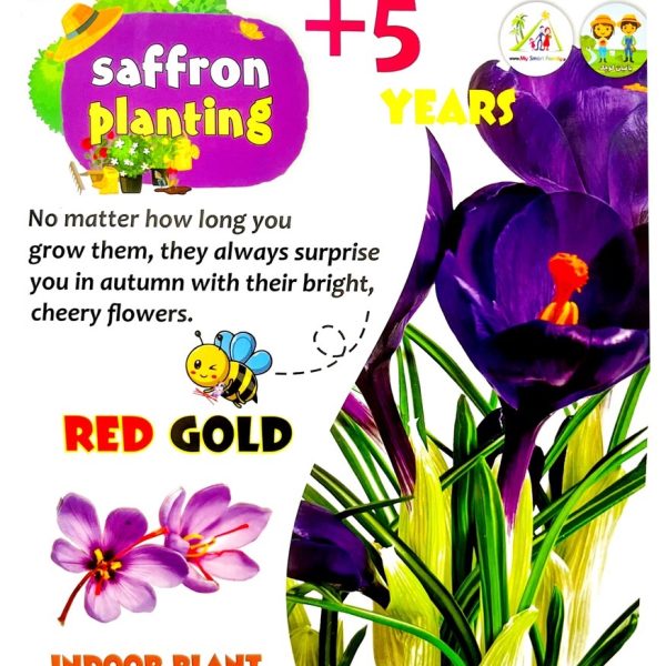 کیت پرورش زعفران