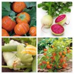 گیاهان شگفت انگیز - Image 3