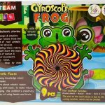 ربات ژیروسکوپ