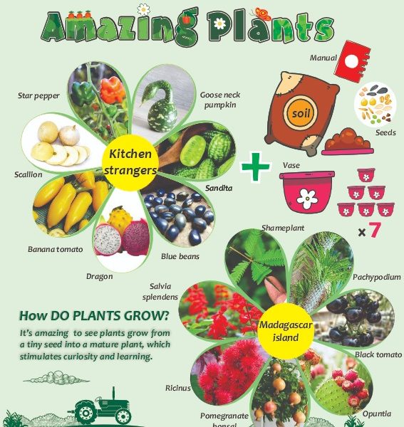 گیاهان شگفت انگیز