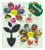 گیاهان شگفت انگیز - Image 2