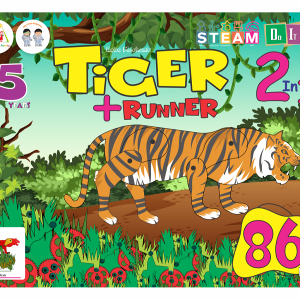 ساختنی ببر و آدمک