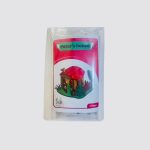 خانه پیتر - Image 3