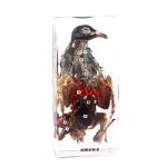 تشریح کبوتر